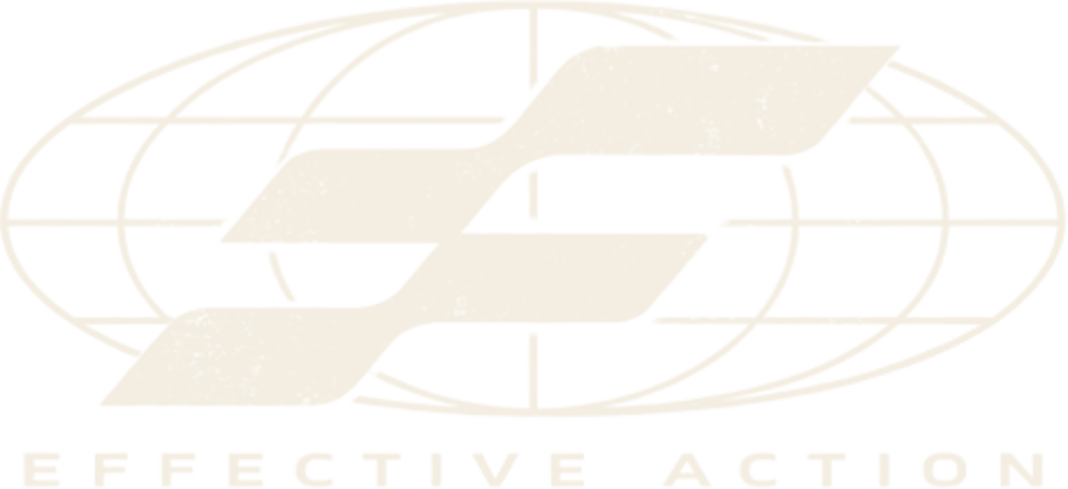 Effective Action